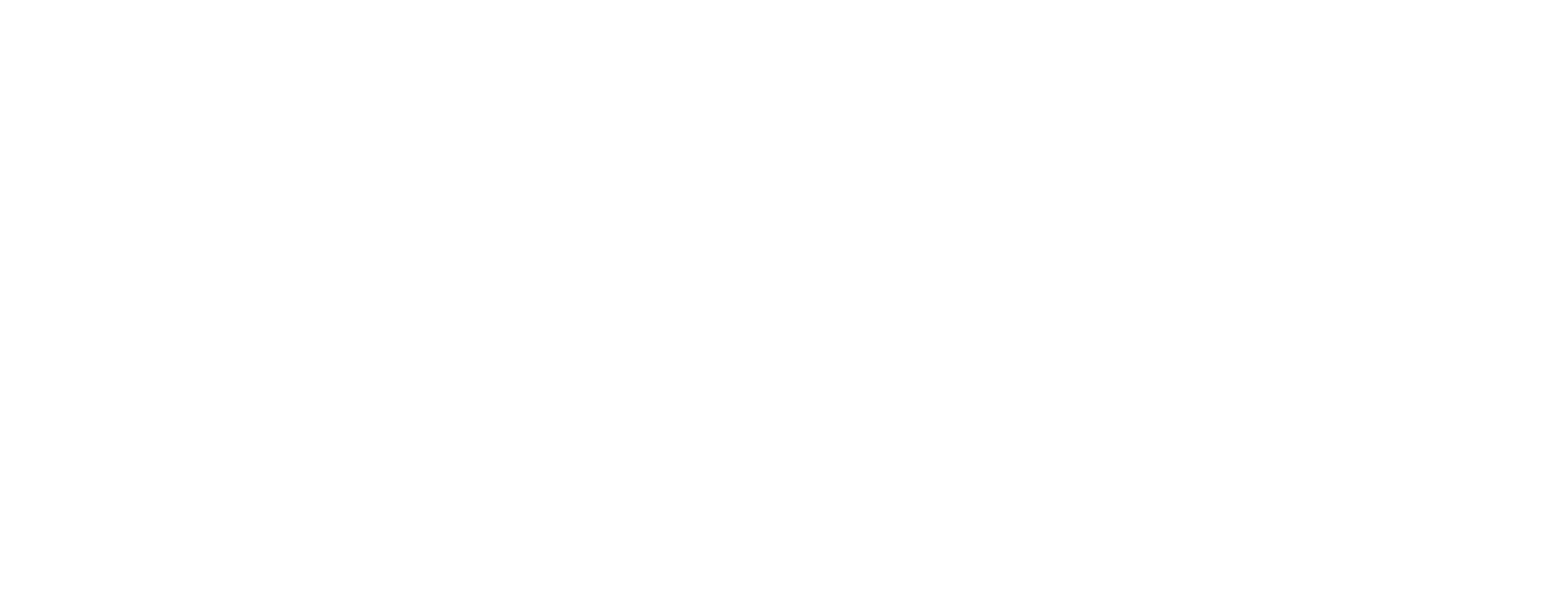 Max Dicas